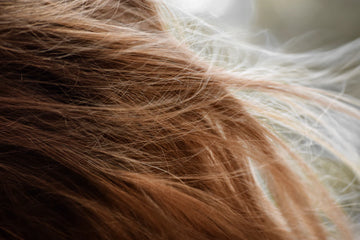 The Impact of Hormones on Hair Health